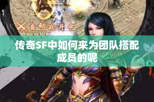 传奇SF中如何来为团队搭配成员的呢