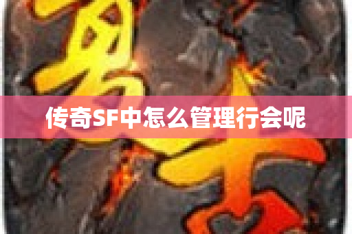 传奇SF中怎么管理行会呢