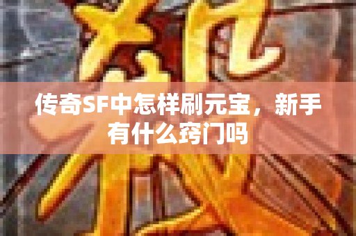 传奇SF中怎样刷元宝，新手有什么窍门吗