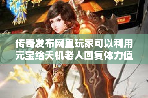 传奇发布网里玩家可以利用元宝给天机老人回复体力值-图1