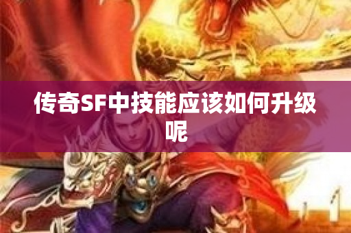 传奇SF中技能应该如何升级呢-图1