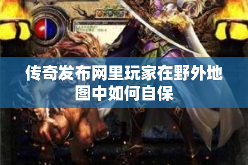 传奇发布网里玩家在野外地图中如何自保-图1
