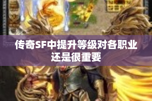 传奇SF中提升等级对各职业还是很重要