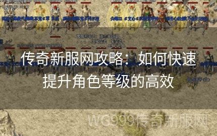 传奇发布网里查看新手攻略定低等级玩家帮助很大